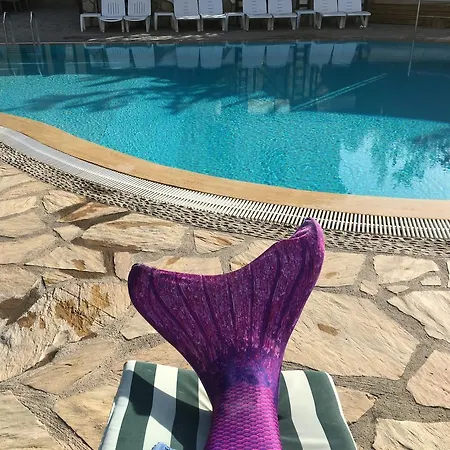 بياز * داليان