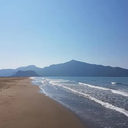 Beyaz Dalyan